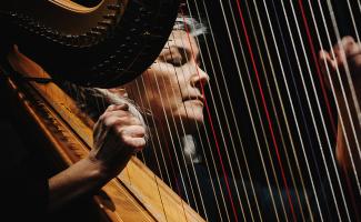 Laura Stephenson, harpist i KammarensembeN. Foto: Adam Wrafter